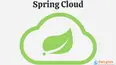 Spring Cloud